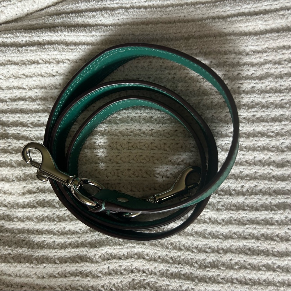 Coach Ashley Opt Art Hippie Tan/Green Convertible Crossbody - Picture 7 of 12